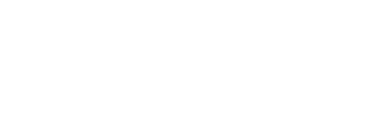 PIT logo
